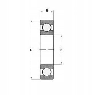 SKF.jpg